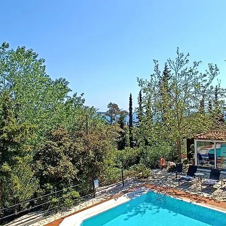 Okeanis & Adults Only *