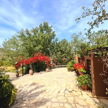 Okeanis & Adults Only *