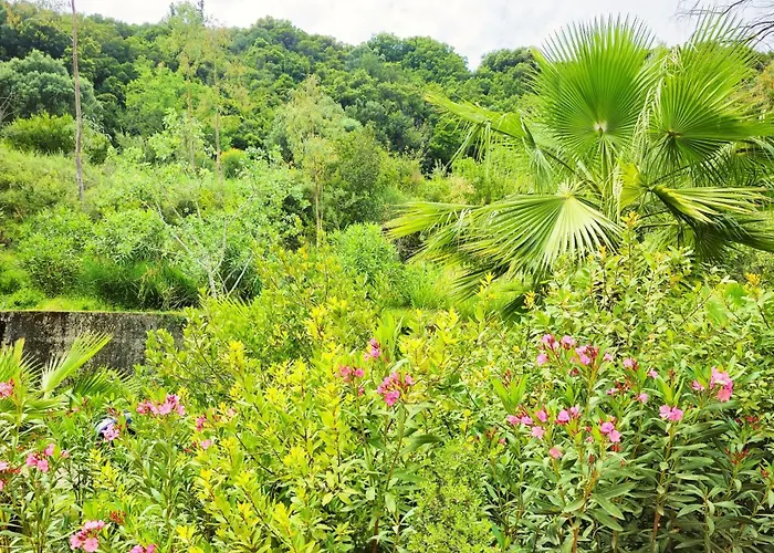 Okeanis & Adults Only Appartement