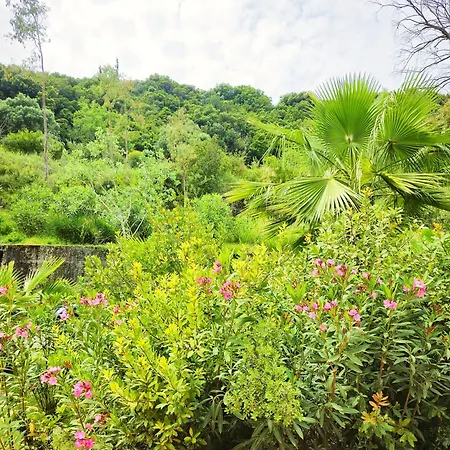 Okeanis & Adults Only Apartment